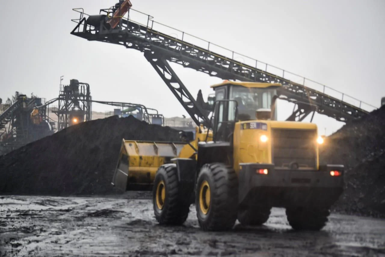 Front-end loader feeding coal onto a stacker conveyor